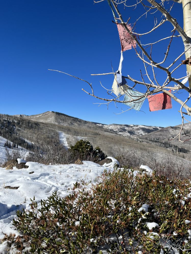 Threshold Enviro - mold inspector in San Diego, CA