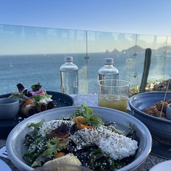 The Rooftop - Salad with a View - Bars Near Me - Cabo San Lucas, BCS The Rooftop - Salad with a View - Bars Near Me - Cabo San Lucas, BCS