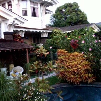 Manoa Inn - The pool in the backyard of the Inn - Bed & Breakfast Near Me - Honolulu, Hawaii