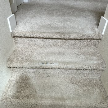 Carpet Surgeon - Before - Carpet Cleaning Near Me - Portland, Oregon Carpet Surgeon - Before - Carpet Cleaning Near Me - Portland, Oregon