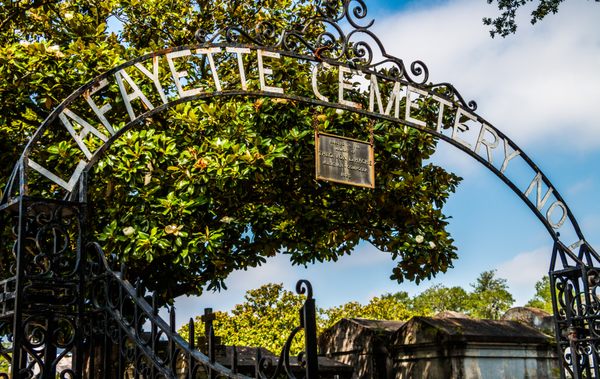 New Orleans Top Tours by null
