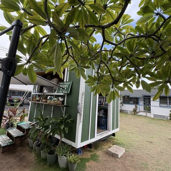 Holoholo Drive-Thru Espresso - Coffee & Tea Near Me - Kailua, Hawaii Holoholo Drive-Thru Espresso - Coffee & Tea Near Me - Kailua, Hawaii