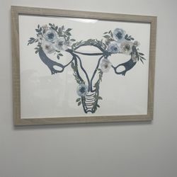 Northeast OBGYN Associates - cool exam room art :)