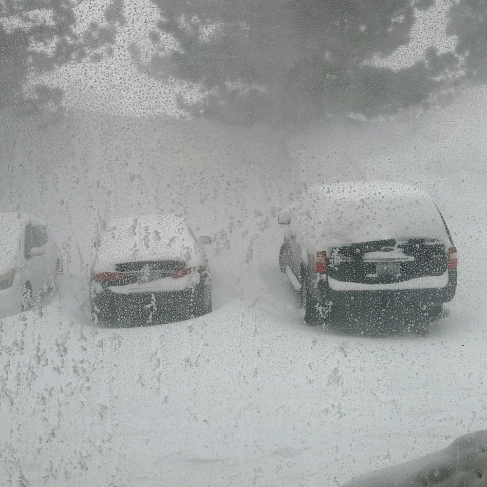 Mammoth Creek Inn - We were slightly snowed in here. Thankfully they have shovels and proper snow equipment to help clear the roads. - Ski Resorts Near Me - Mammoth Lakes, California Mammoth Creek Inn - We were slightly snowed in here. Thankfully they have shovels and proper snow equipment to help clear the roads. - Ski Resorts Near Me - Mammoth Lakes, California