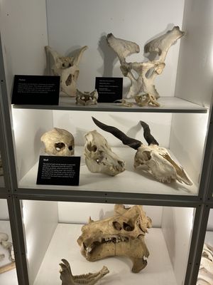 George B. Dorr Museum of Natural History by null
