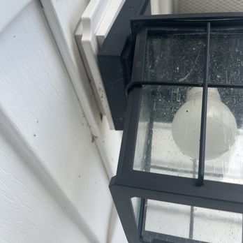 The House Washing Guy - Filthy siding in the front of house in eye level view - Pressure Washers Near Me The House Washing Guy - Filthy siding in the front of house in eye level view - Pressure Washers Near Me