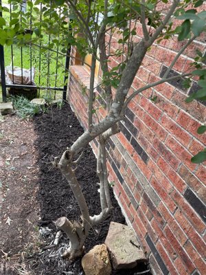 S.L.I.M. Contracting Logo