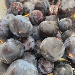 Sweet Girl Farms - From their Instagram page