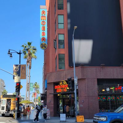 Amoeba Music by null