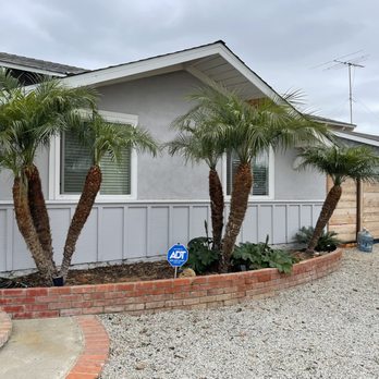 Isaac's Tree Service - palm trees in front of a house - Tree Services Near Me - colton, California Isaac's Tree Service - palm trees in front of a house - Tree Services Near Me - colton, California