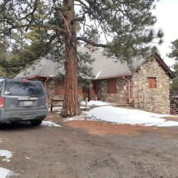 Twisted Pine - Girl scout property