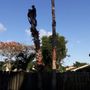 Photo of H Olguin Nursery and Landscaping