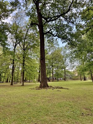 Overton Park by null