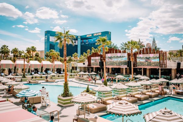 Palm Tree Beach Club by null