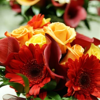 Kathy's Florist - These were our lovely brides maid flowers. - Florists Near Me - Fort Lauderdale, Florida Kathy's Florist - These were our lovely brides maid flowers. - Florists Near Me - Fort Lauderdale, Florida