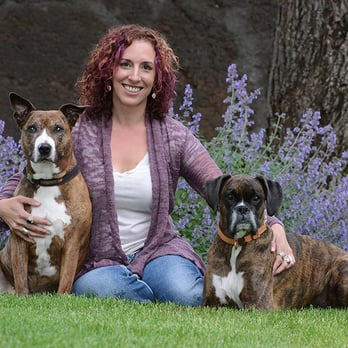 Pack Dynamics - Pet Training Near Me