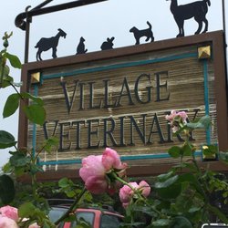 Novak Karen, DVM - Village Veterinary
