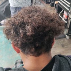 Short Kutz - Case #2: BEFORE