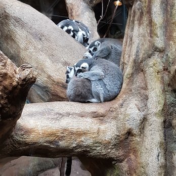 Toronto Zoo - Zoos Near Me - Toronto, Ontario Toronto Zoo - Zoos Near Me - Toronto, Ontario
