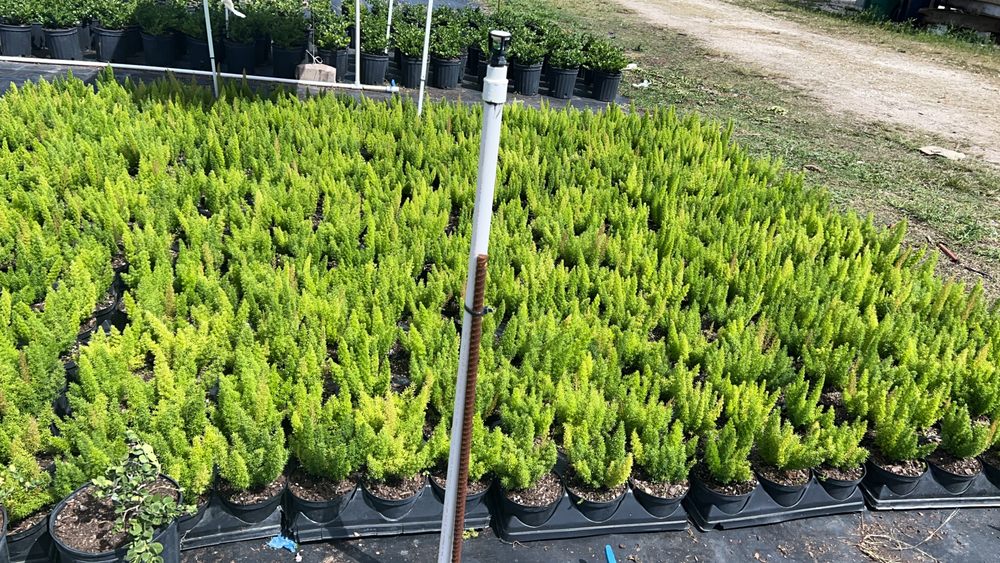 J’S BROTHERS NURSERY Updated September 2024 37390 SW 212th Ave