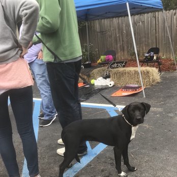 Camp Bow Wow West Mobile - Pet Sitting Near Me - Mobile, Alabama