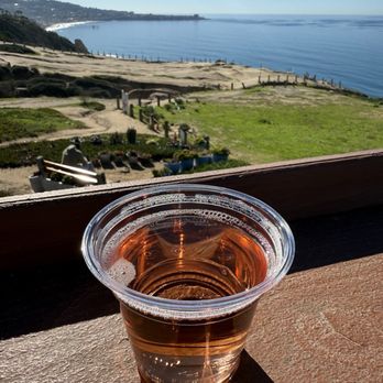 Torrey Pines Gliderport - Sparkling Rose with a beautiful backdrop - Hang Gliding Near Me - La Jolla, California Torrey Pines Gliderport - Sparkling Rose with a beautiful backdrop - Hang Gliding Near Me - La Jolla, California
