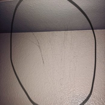 Amber Ridge Apartments - I woke up to this huge spider web above my head. Pretty fed up. - Apartments Near Me - La Verne, California