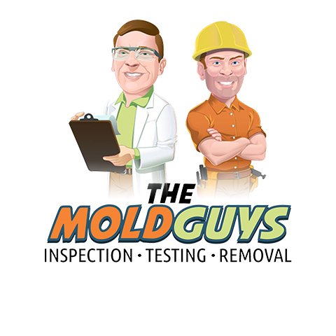 The Mold Guys - mold inspector in Palm Harbor, FL