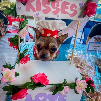 Aloha Home Market - Who can say no to puppy kisses? - Pop-up Shops Near Me - Kailua, Hawaii