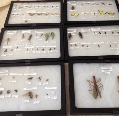 American Science & Surplus by null