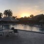 Photo of Pelican Cove Condominium Association