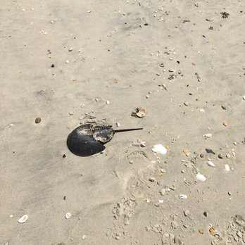 Bayshore Waterfront Park - :( - Parks Near Me - Middletown, New Jersey