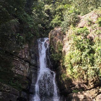 El Yunque Rainforest - Hiking Near Me - Luquillo, Puerto Rico