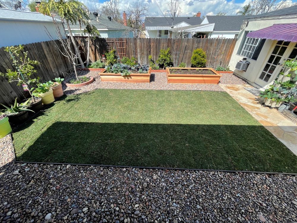 Professional tree removal and trimming service in Long Beach CA