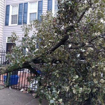 Skyline Tree Services - Tree Services Near Me Skyline Tree Services - Tree Services Near Me