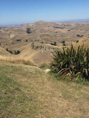 Te Mata Peak by null