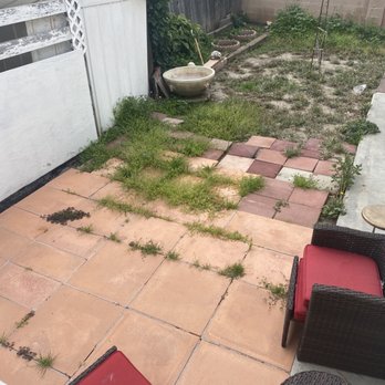 Benito's Gardening - Ugly yard overgrown with weeds - Tree Services Near Me - San Juan Capistrano, California Benito's Gardening - Ugly yard overgrown with weeds - Tree Services Near Me - San Juan Capistrano, California