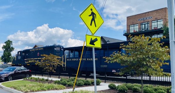 Blue Ridge Scenic Railway by null