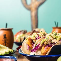 Hale Street Cantina - Hale Street Cantina in Wheaton, IL fish tacos