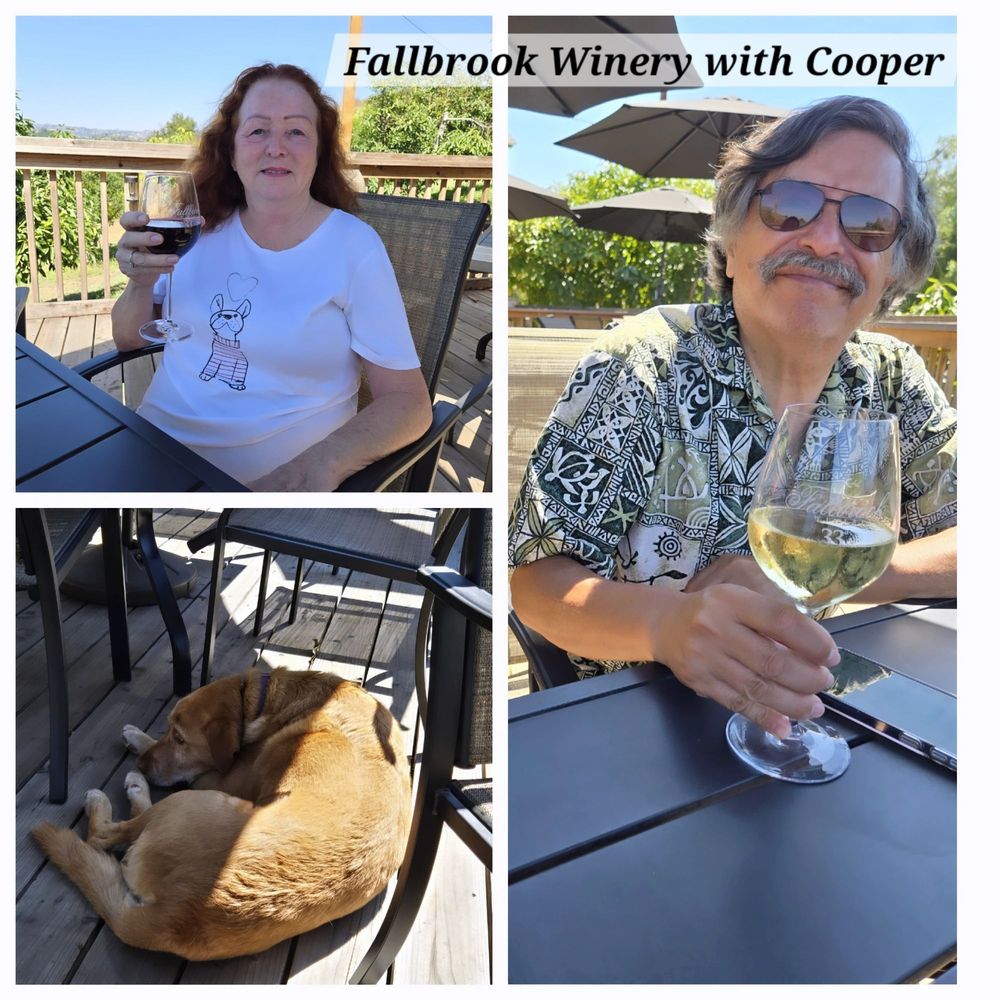 Fallbrook Winery - Enjoying wine and chilling out with Cooper. - Wine Tasting Room Near Me - Fallbrook, California