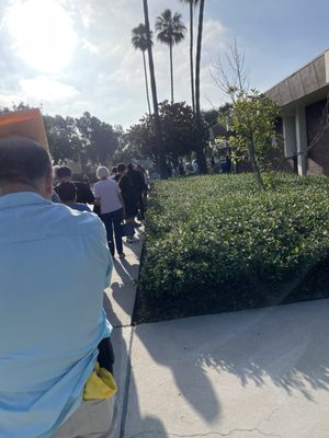 Fullerton DMV by null