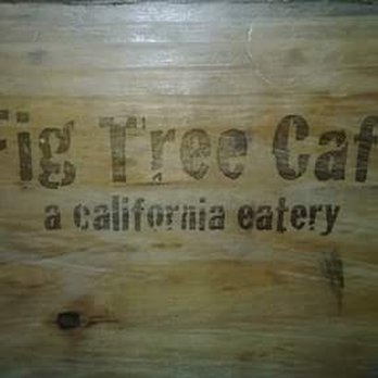 Fig Tree Cafe - Breakfast & Brunch Near Me - San Diego, California Fig Tree Cafe - Breakfast & Brunch Near Me - San Diego, California