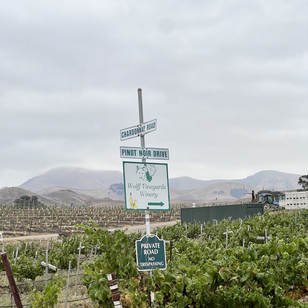 Wolff Vineyards - Love the sign and the Pinot noir - Wineries Near Me - San Luis Obispo, California Wolff Vineyards - Love the sign and the Pinot noir - Wineries Near Me - San Luis Obispo, California