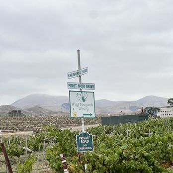 Wolff Vineyards - Love the sign and the Pinot noir - Wineries Near Me - San Luis Obispo, California Wolff Vineyards - Love the sign and the Pinot noir - Wineries Near Me - San Luis Obispo, California