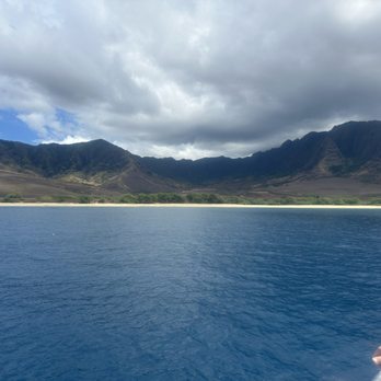 Dolphins and You - Boat Charters Near Me - Honolulu, Hawaii Dolphins and You - Boat Charters Near Me - Honolulu, Hawaii