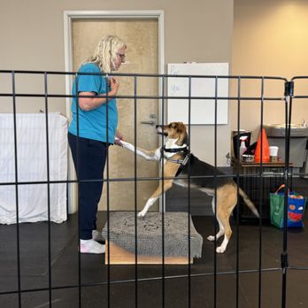 Training Spot - Pet Training Near Me - Eugene, Oregon