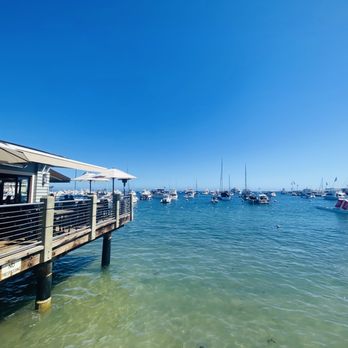 Bluewater Grill - Lots of outdoor seating right in the bay - Seafood Near Me - Avalon, California