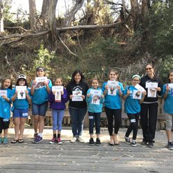 Shark Camp - Game: How dangerous am I?