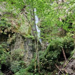 Hinanger Wasserfall - Wasserfall