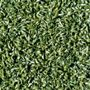 Photo of Cascade Greens